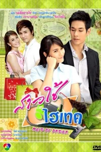 Горничная с наворотами