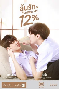 Мои единственные 12%